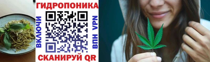 omg как войти  Старица  Canna-Cookies конопля 