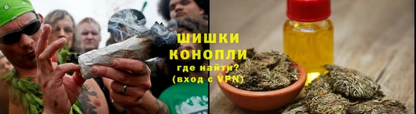хмурый Богородицк