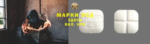 хмурый Богородицк