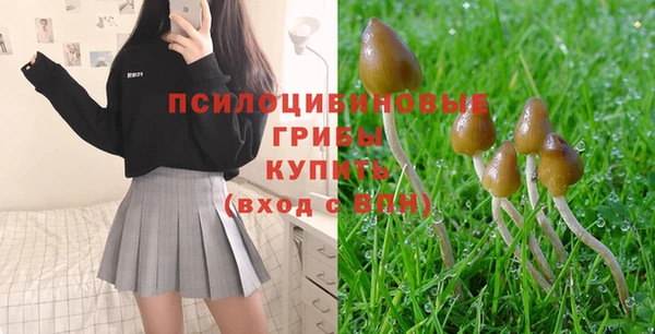 амфетамин Богородск