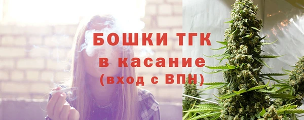 хмурый Богородицк